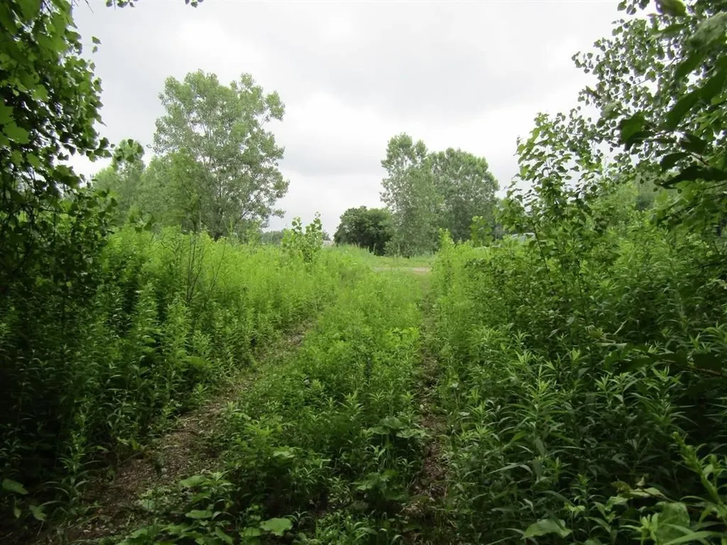 Lot 2 Champlain Commons St. Albans Town VT 05478