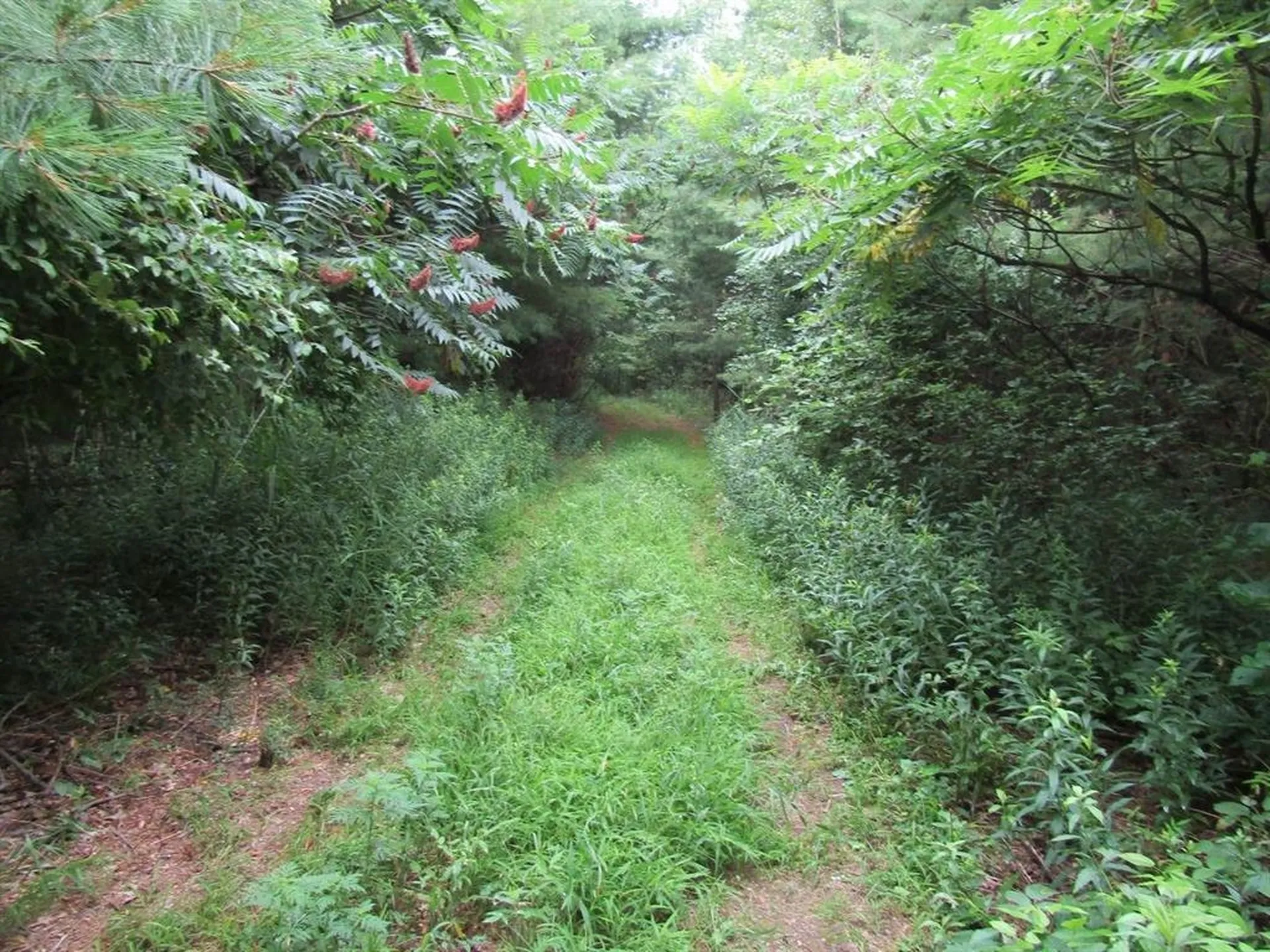 Lot 2 Champlain Commons St. Albans Town VT 05478