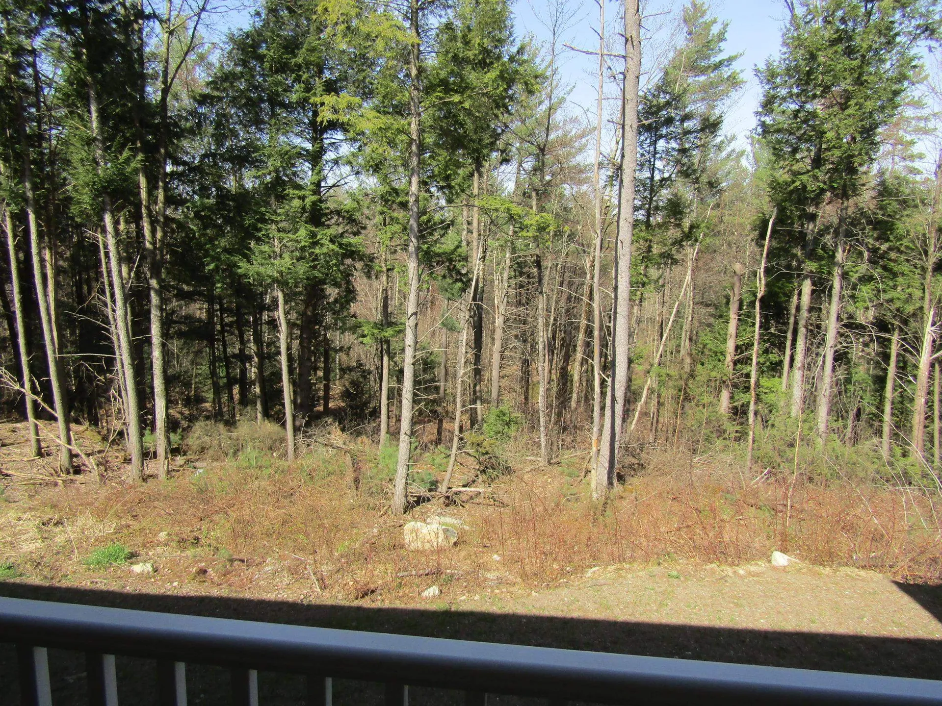 142 Jaylynn Lane Sheldon VT 05483