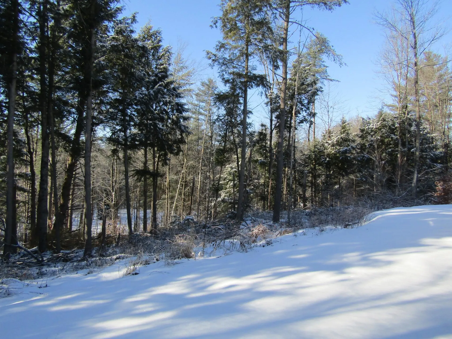 142 Jaylynn Lane Sheldon VT 05488