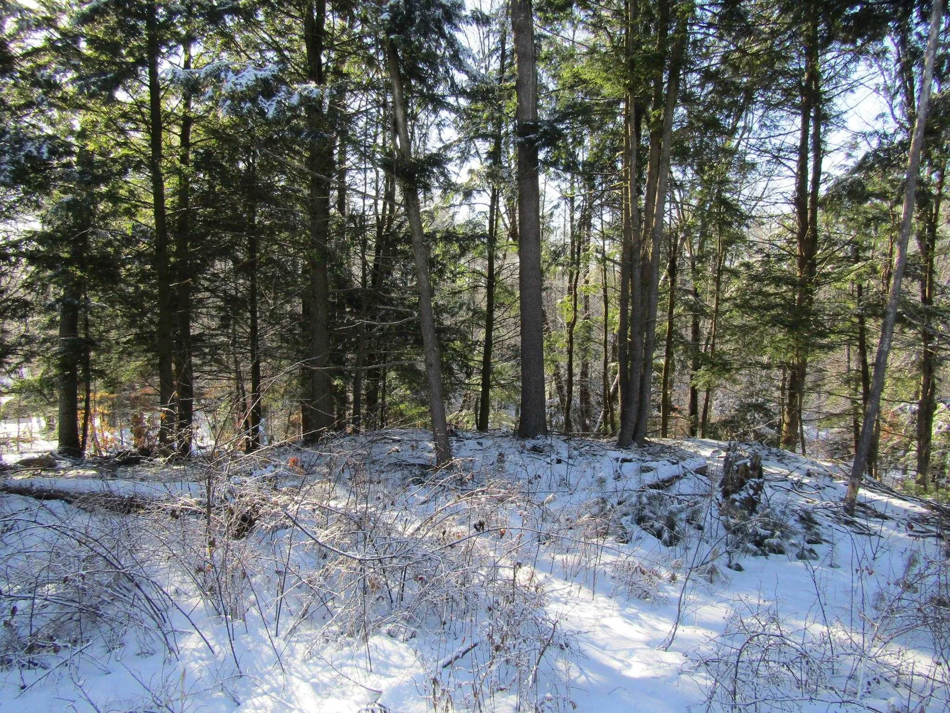 142 Jaylynn Lane Sheldon VT 05488