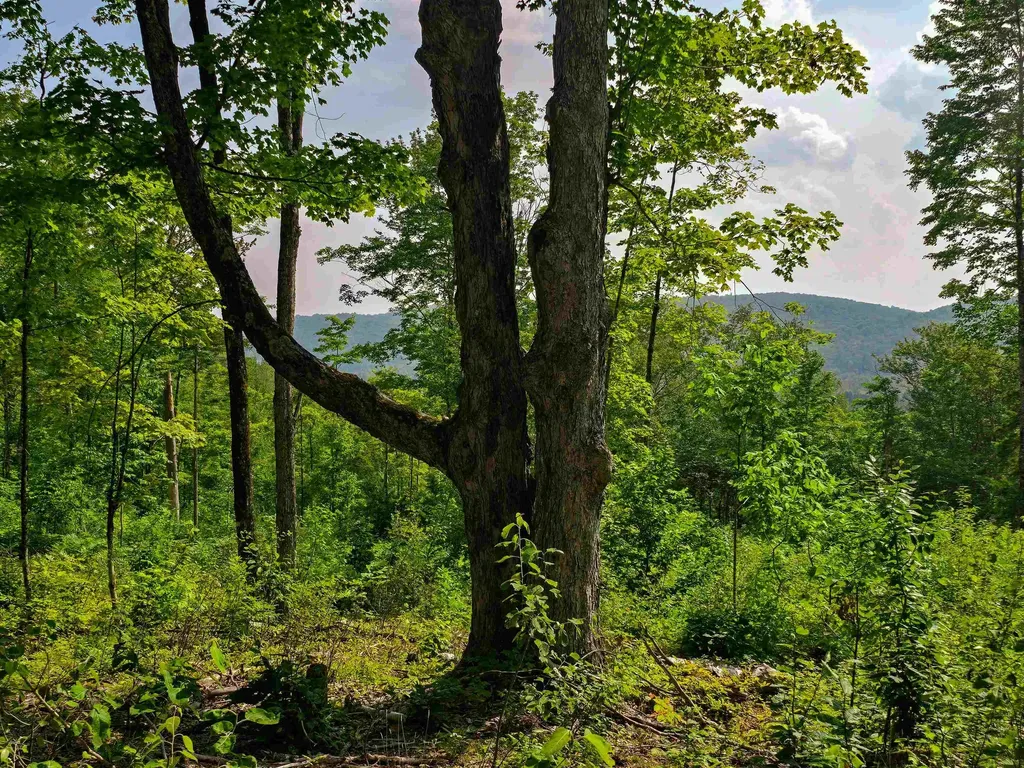 136 Territory Road Topsham VT 05076
