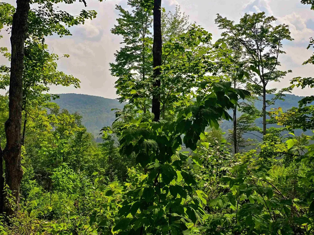 136 Territory Road Topsham VT 05076