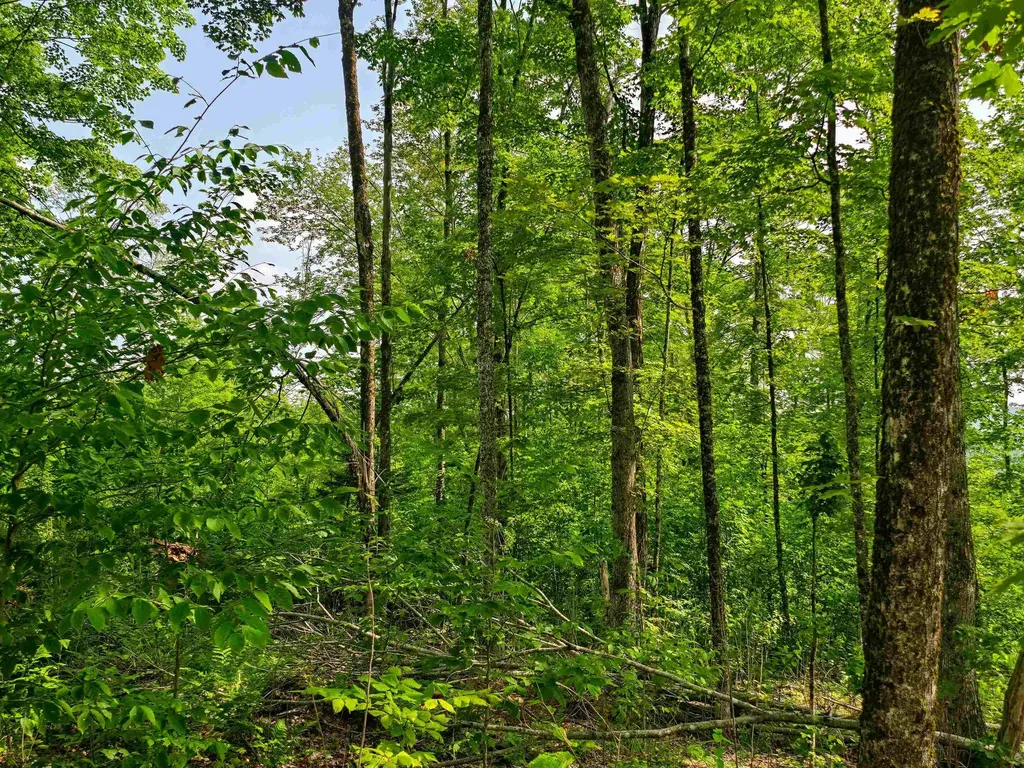 136 Territory Road Topsham VT 05076