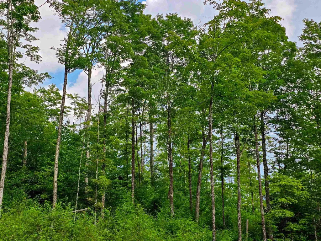 136 Territory Road Topsham VT 05076