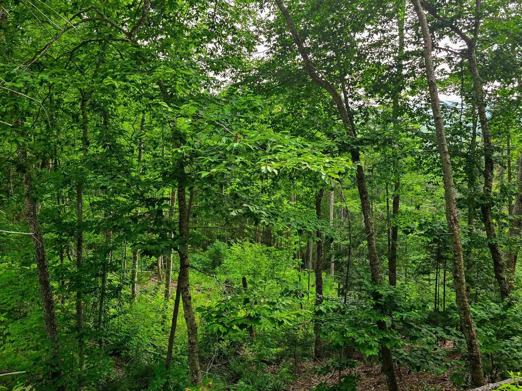 136 Territory Road Topsham VT 05076