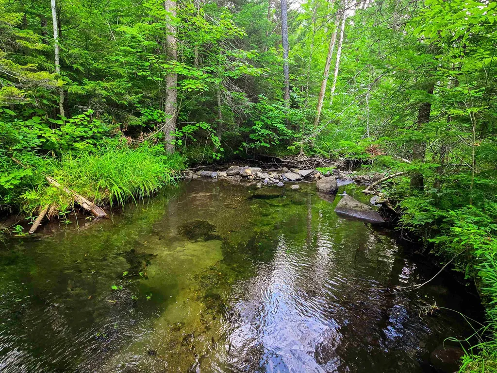 136 Territory Road Topsham VT 05076