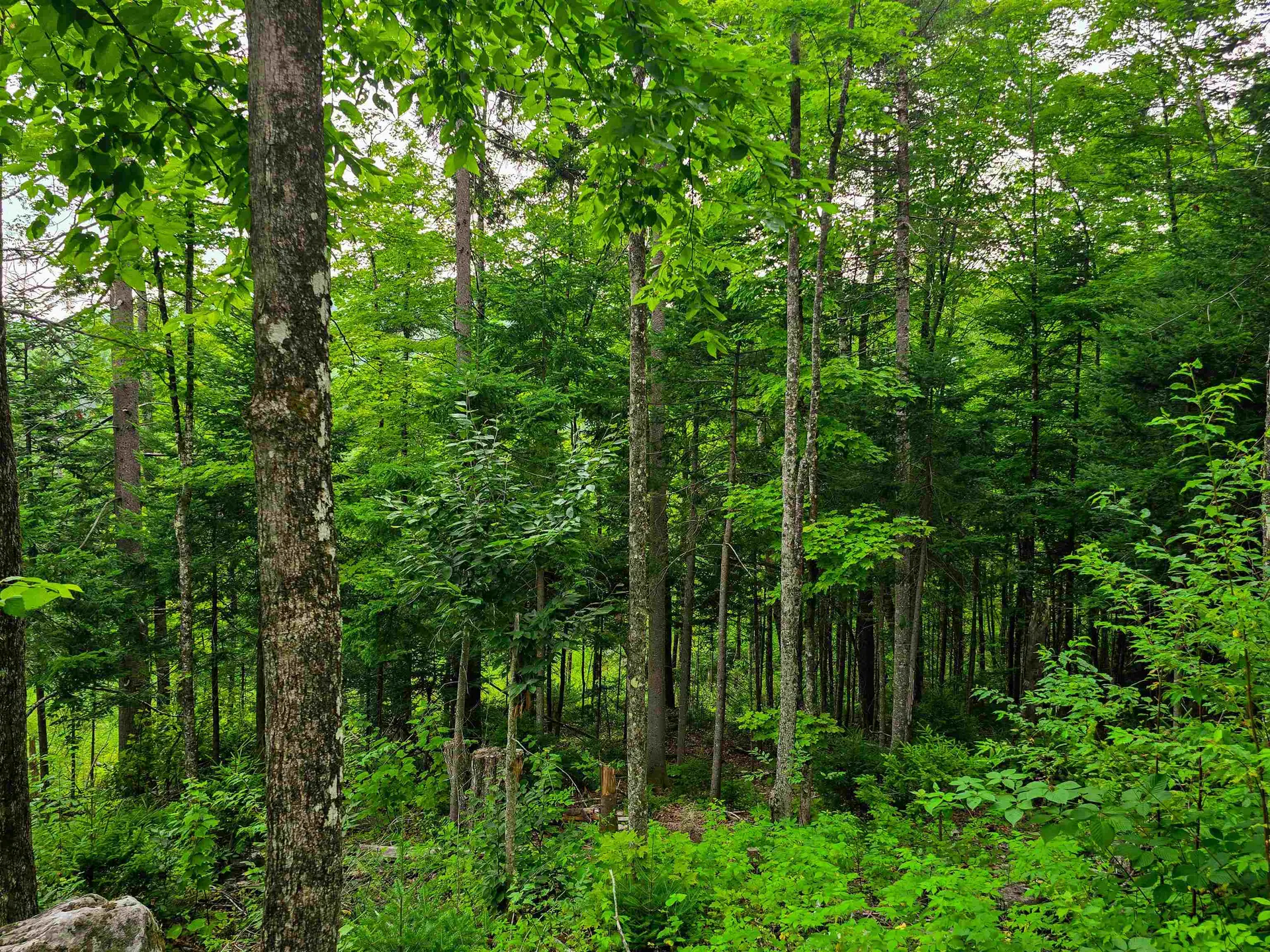 136 Territory Road Topsham VT 05076