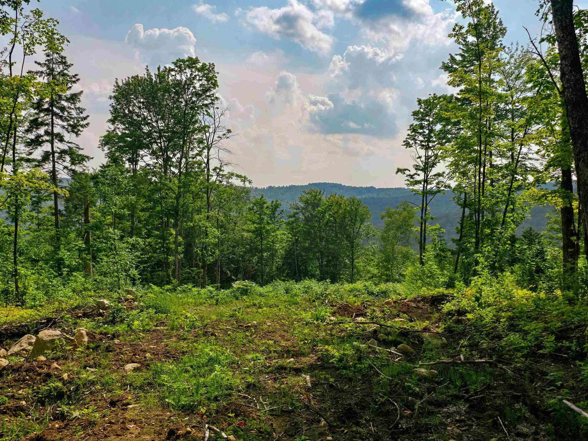 136 Territory Road Topsham VT 05076