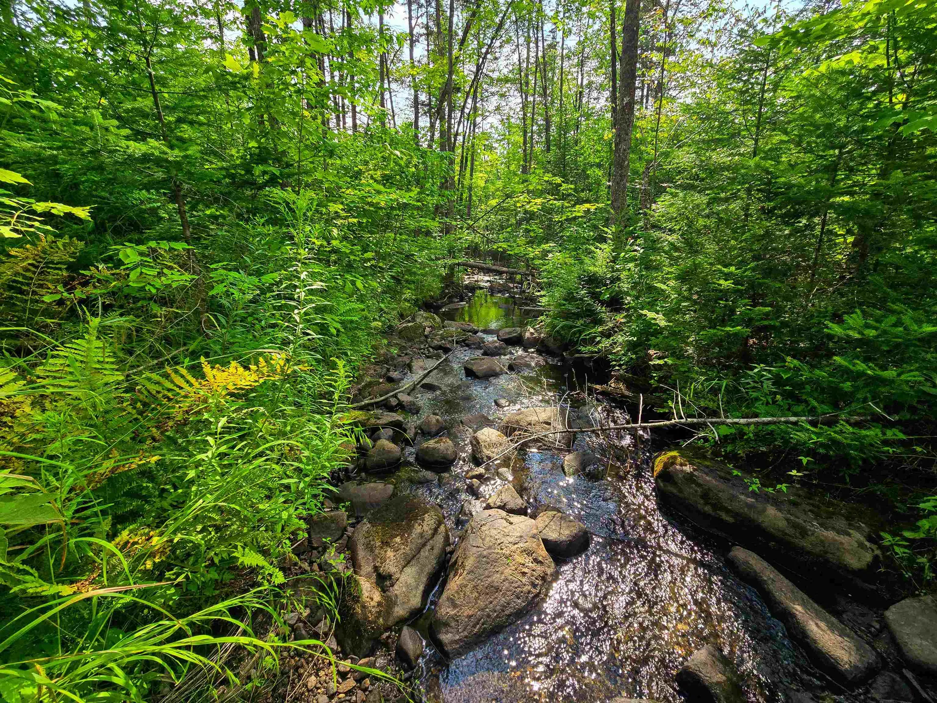 136 Territory Road Topsham VT 05076