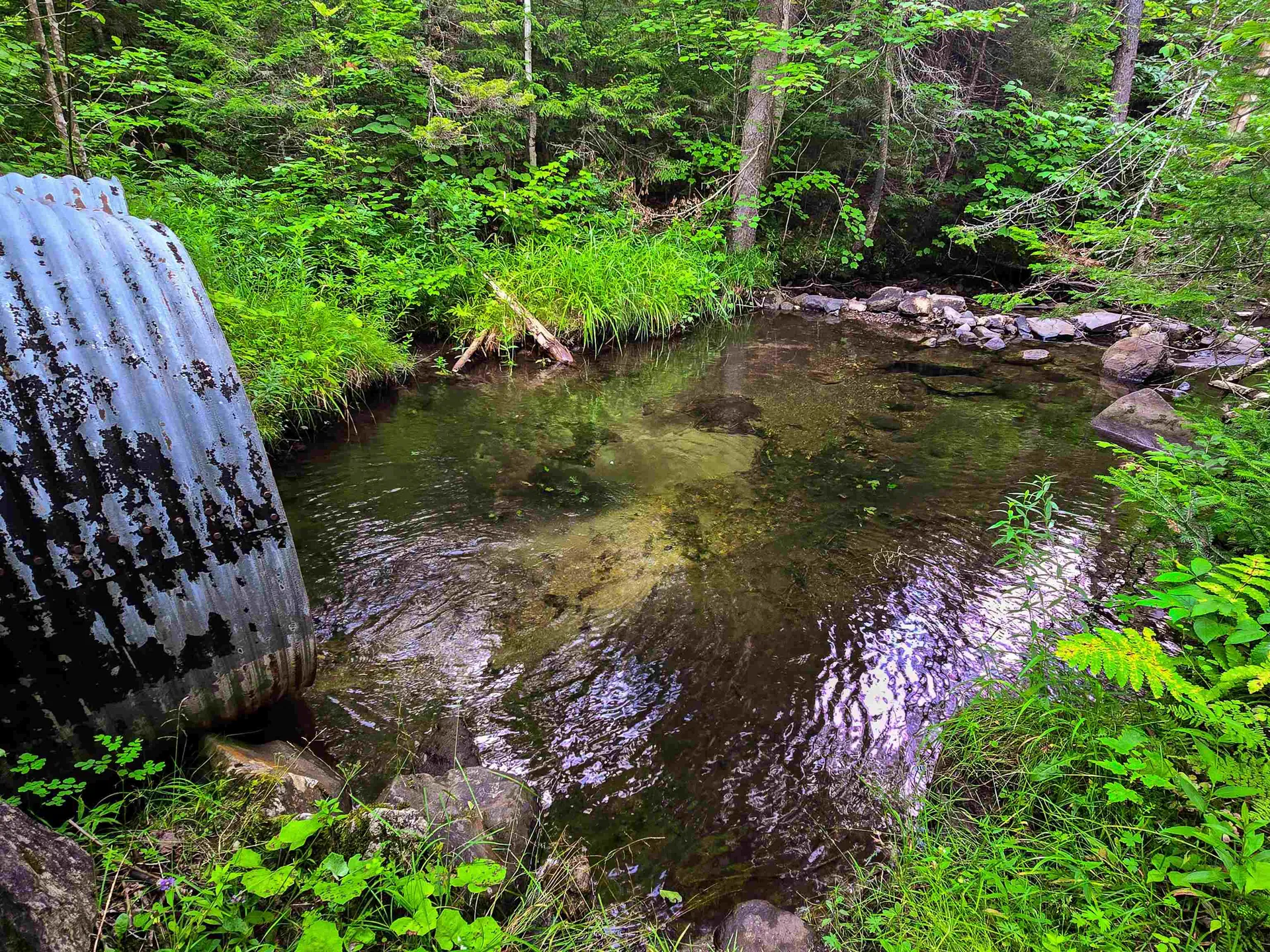 136 Territory Road Topsham VT 05076