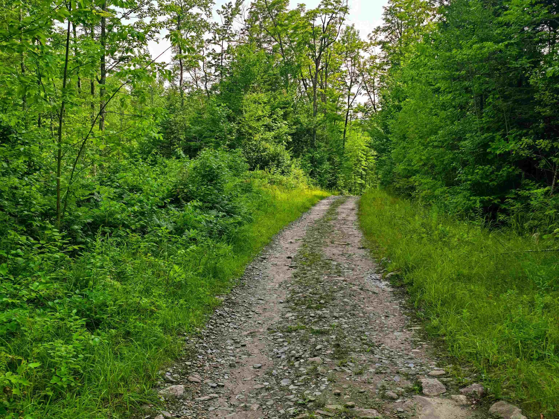 136 Territory Road Topsham VT 05076