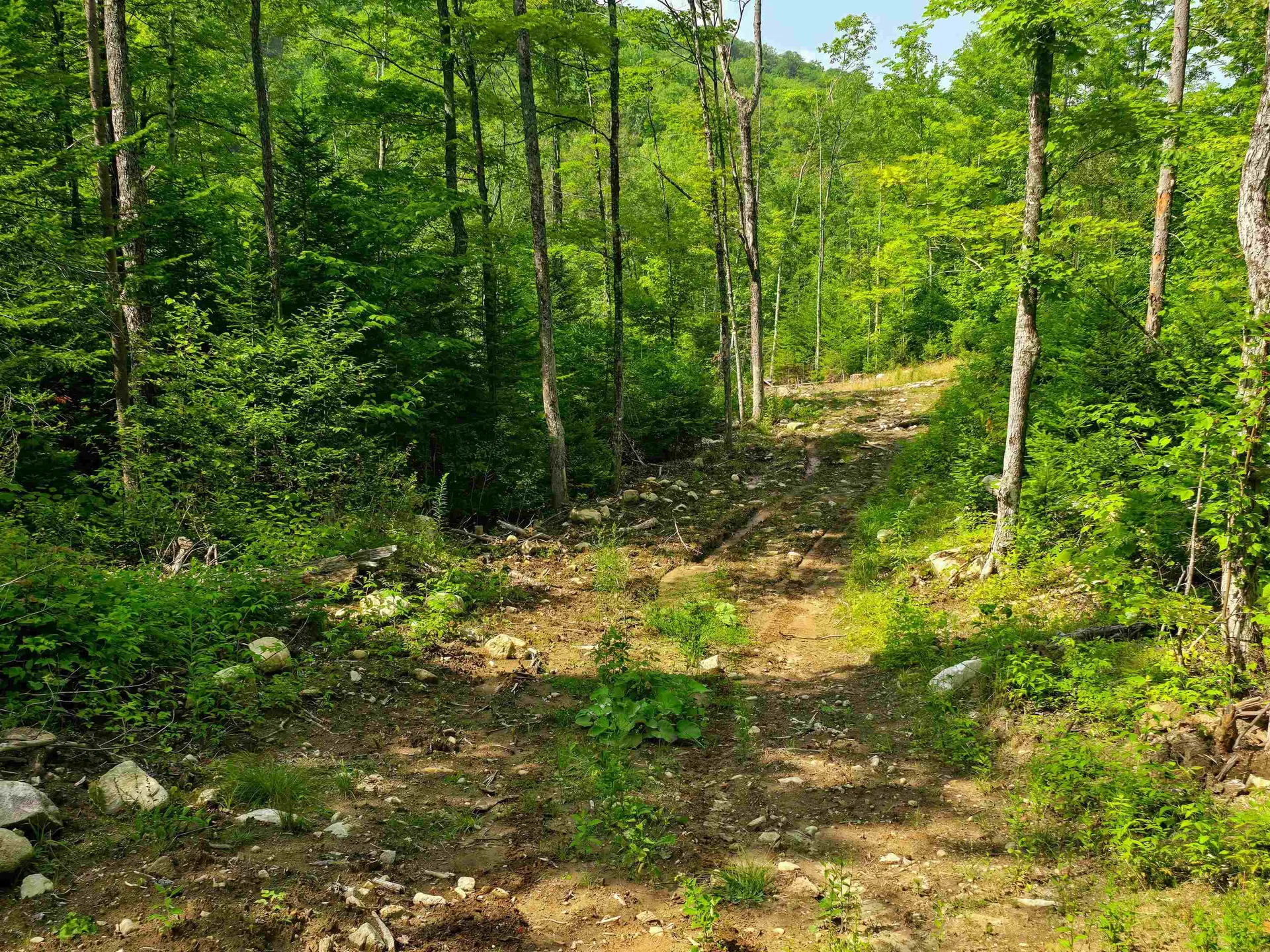 136 Territory Road Topsham VT 05076
