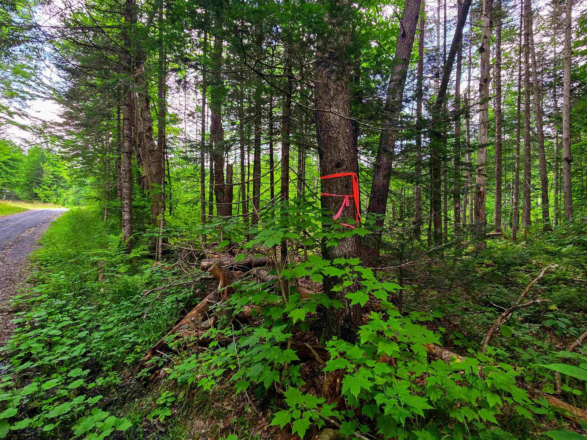 136 Territory Road Topsham VT 05076