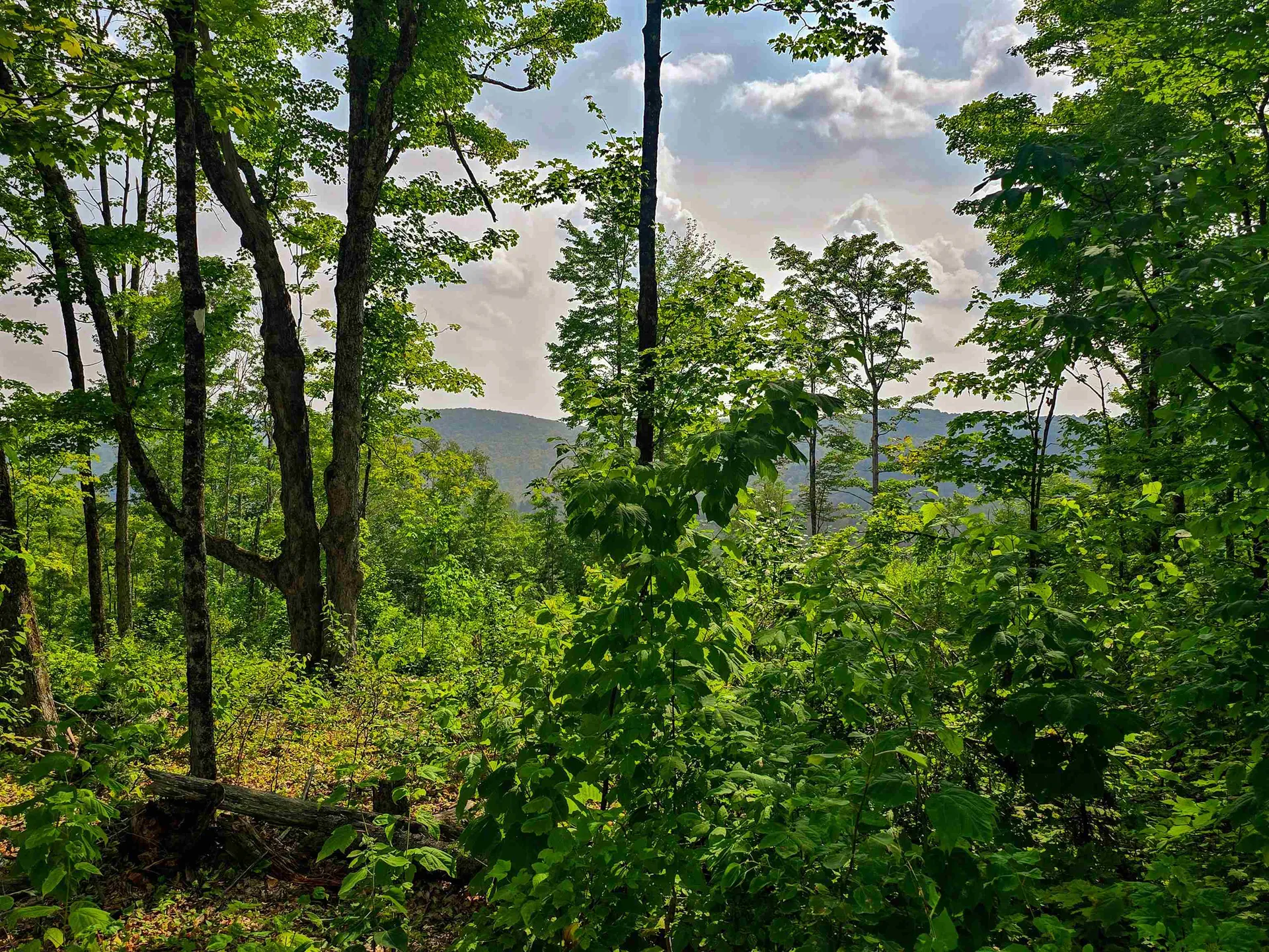 136 Territory Road Topsham VT 05076
