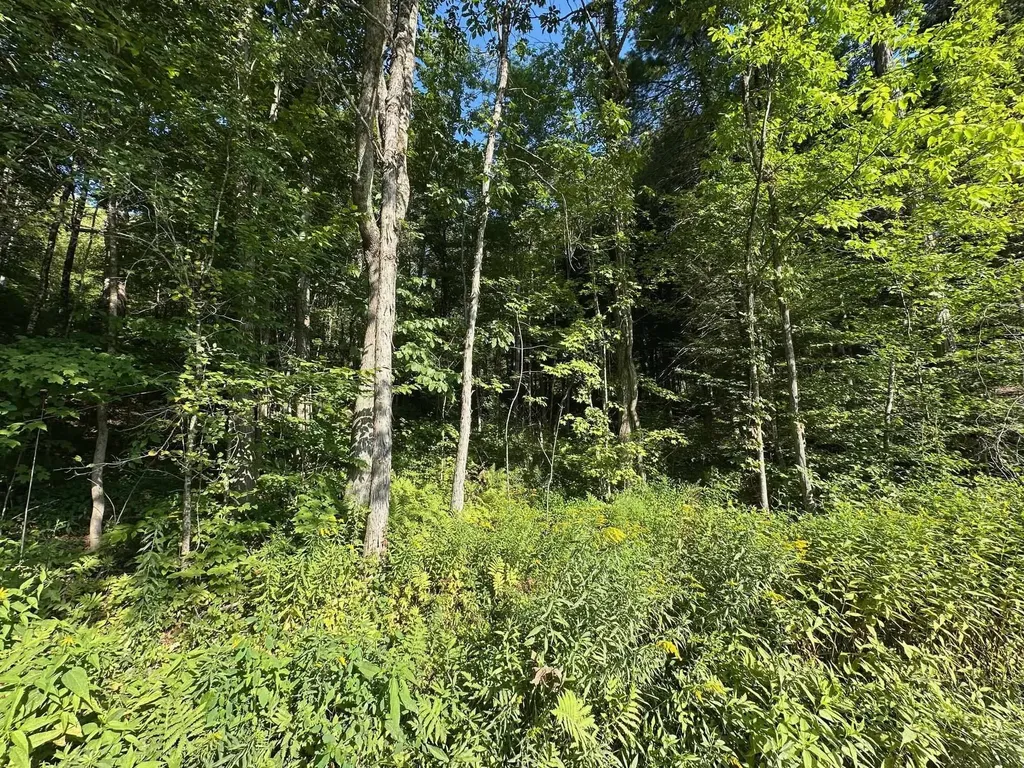 90 Old Swanzey Road Winchester NH 03470