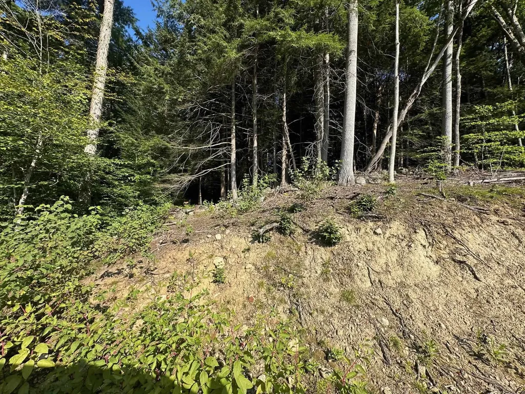 90 Old Swanzey Road Winchester NH 03470