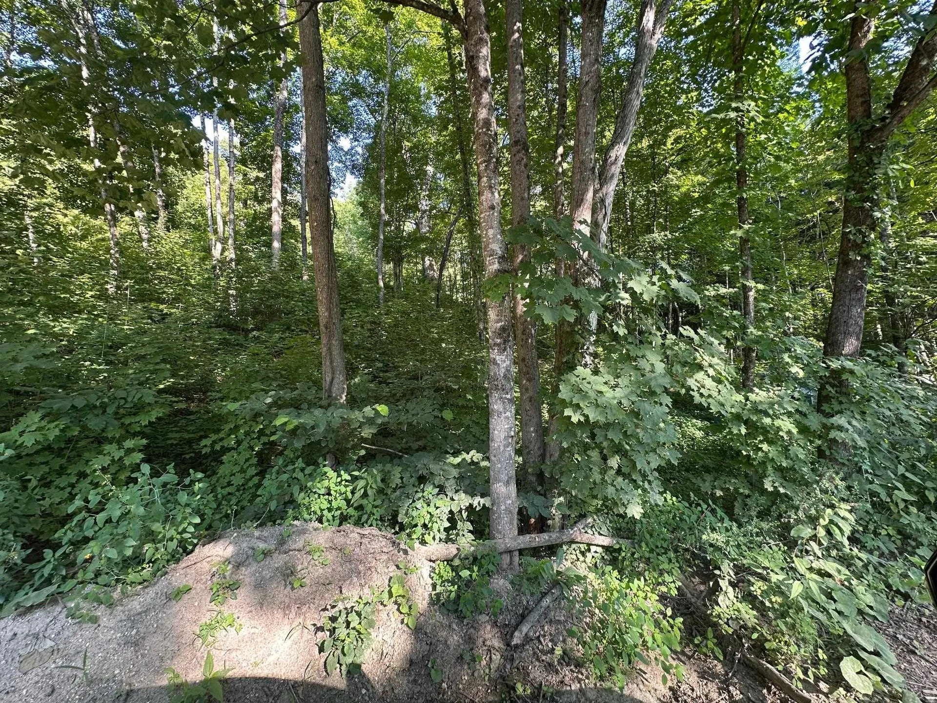 90 Old Swanzey Road Winchester NH 03470