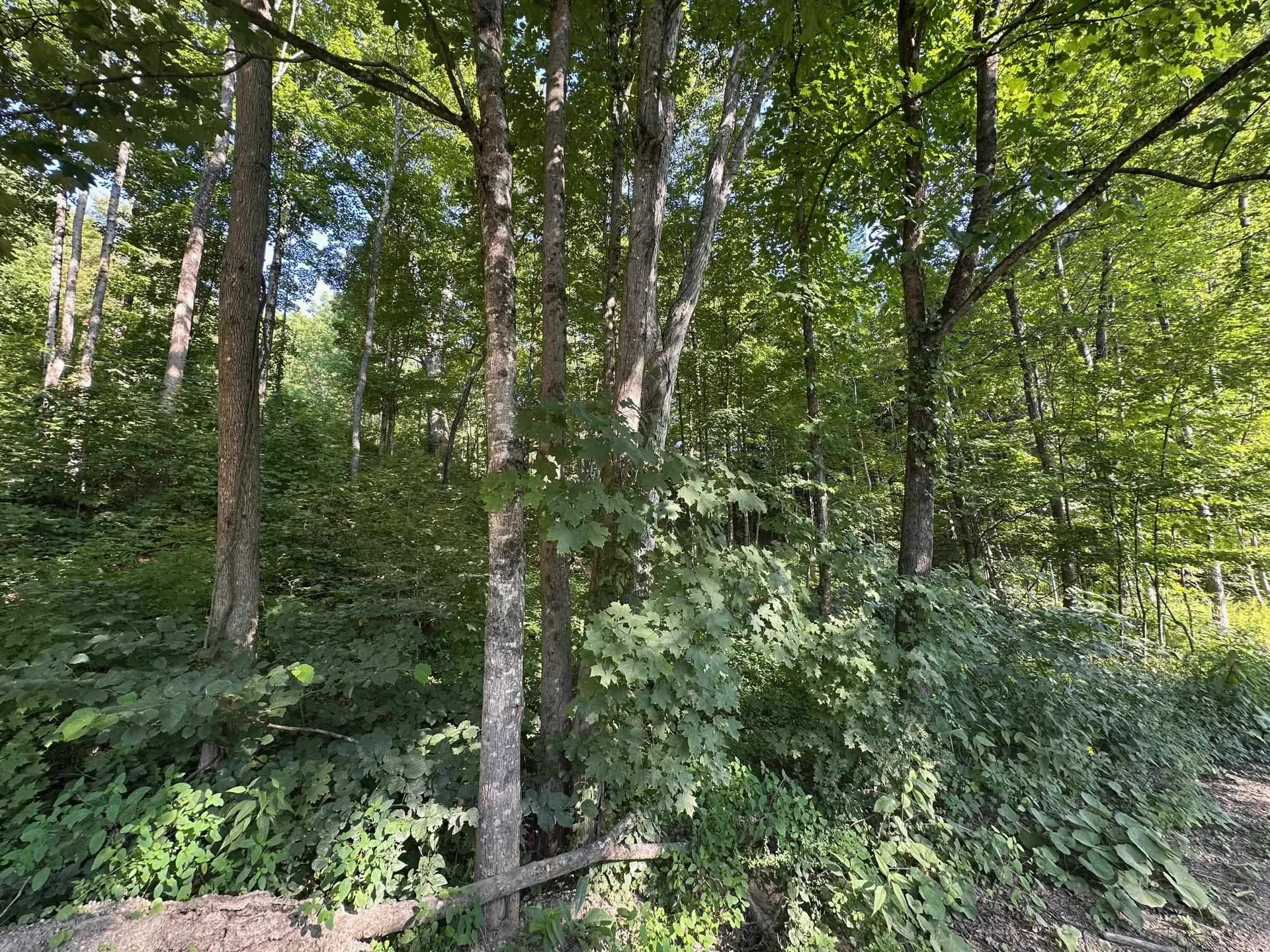 90 Old Swanzey Road Winchester NH 03470