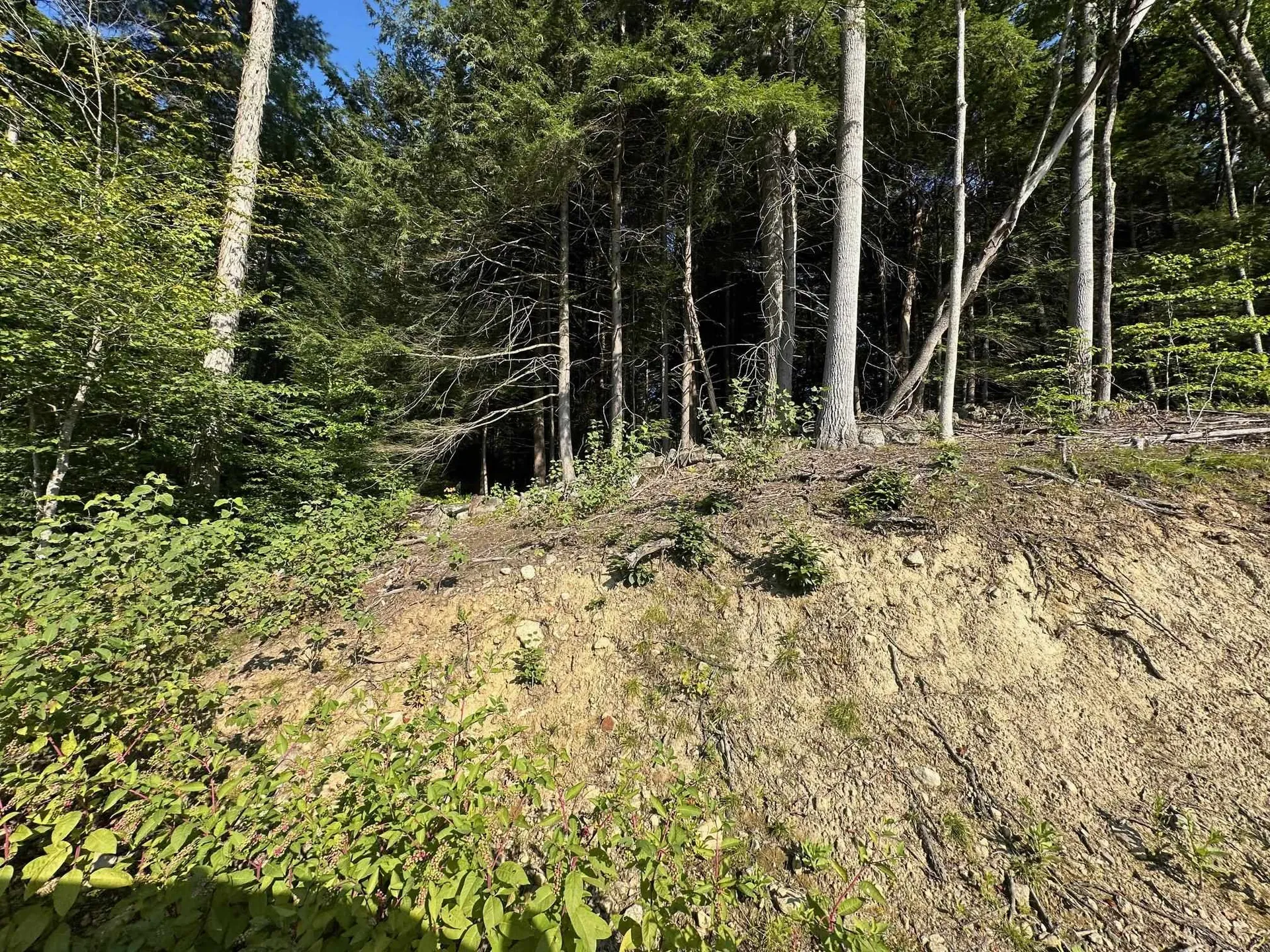 90 Old Swanzey Road Winchester NH 03470