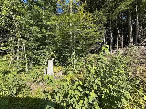 90 Old Swanzey Road Winchester NH 03470