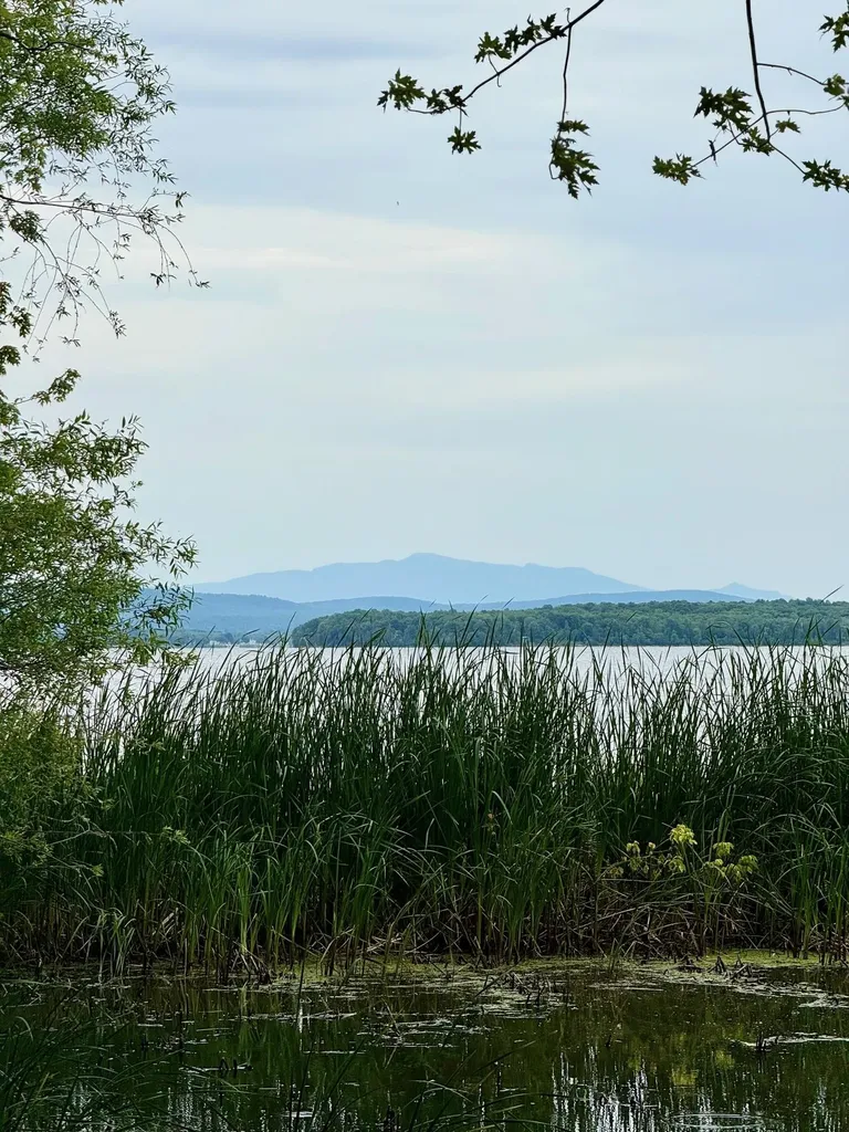 880 Lakeview Drive North Hero VT 05474