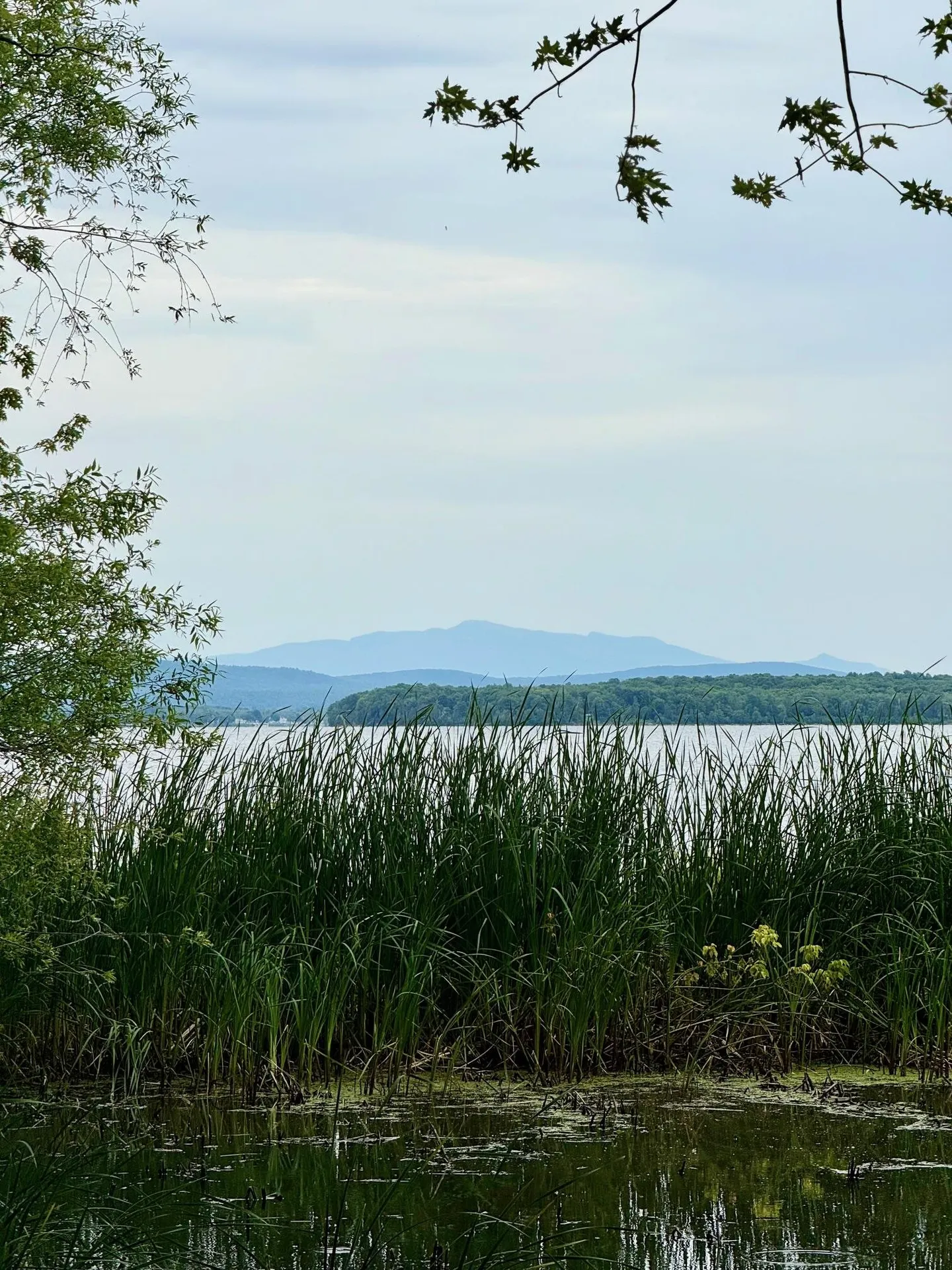 880 Lakeview Drive North Hero VT 05474