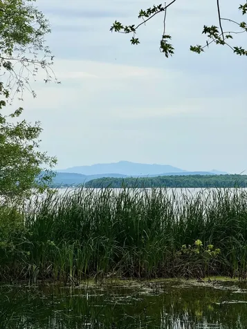 880 Lakeview Drive North Hero VT 05474