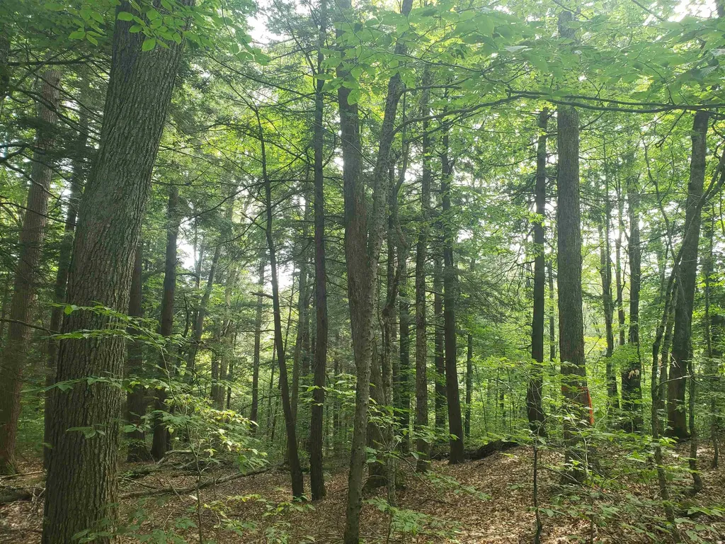 0 Stratton Hill Road Marlboro VT 05344