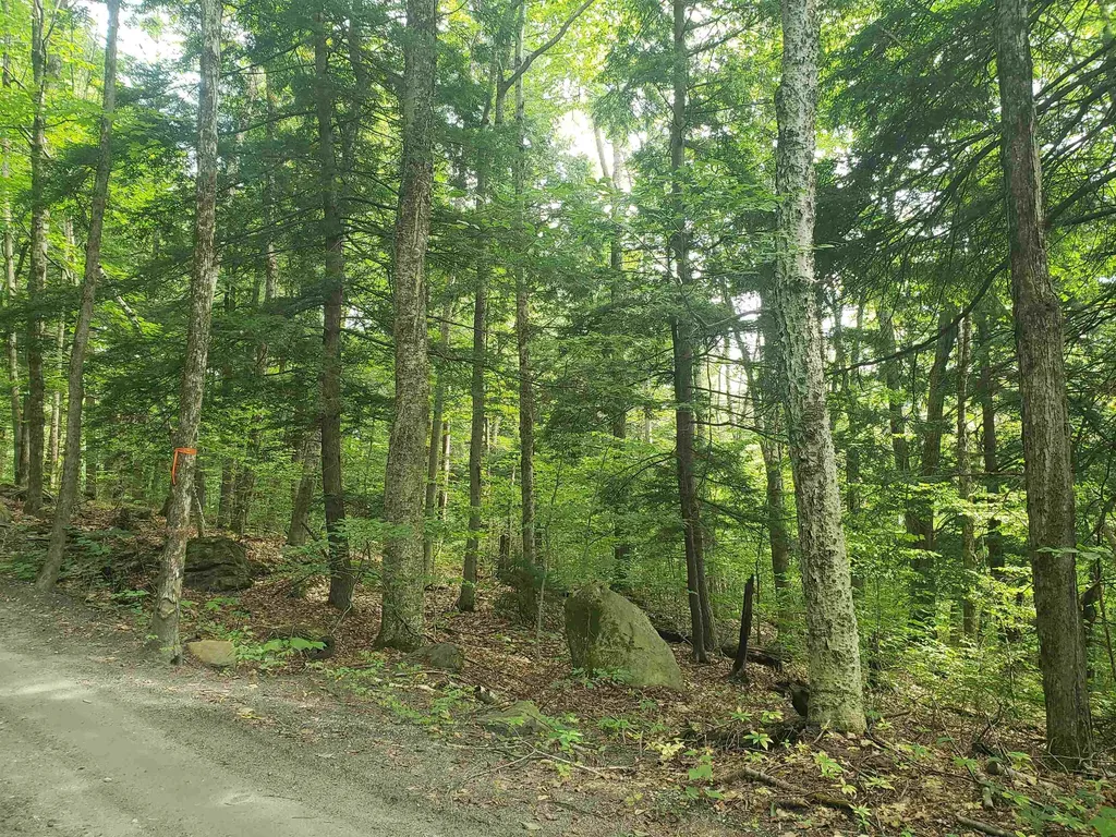 0 Stratton Hill Road Marlboro VT 05344