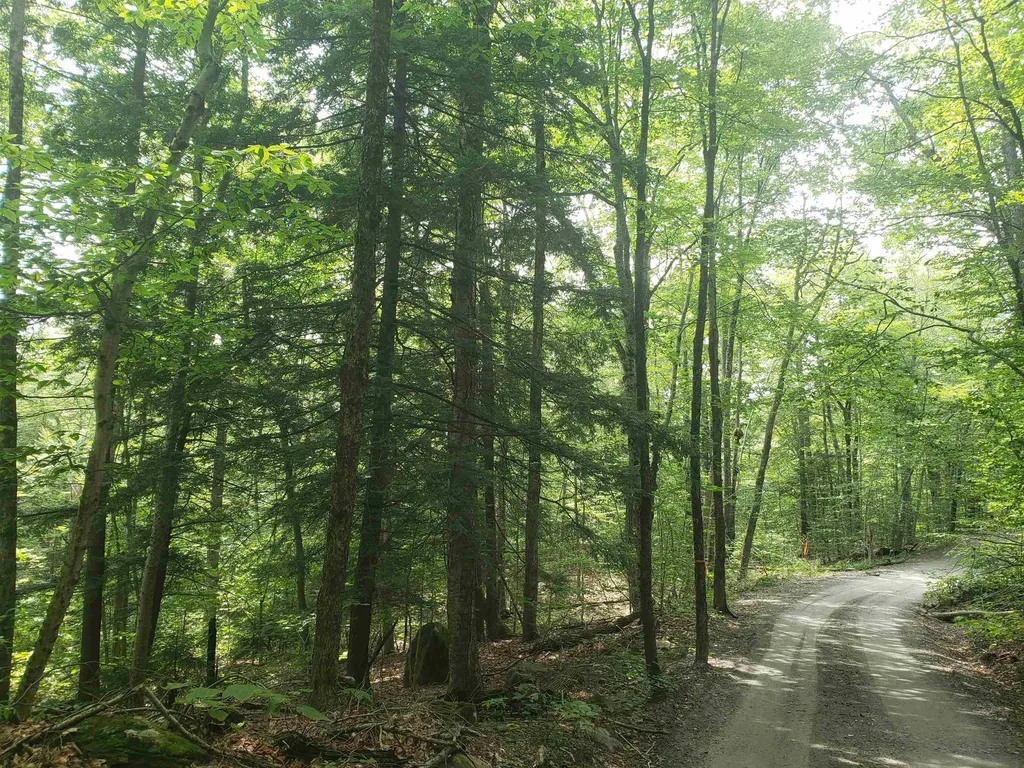 0 Stratton Hill Road Marlboro VT 05344