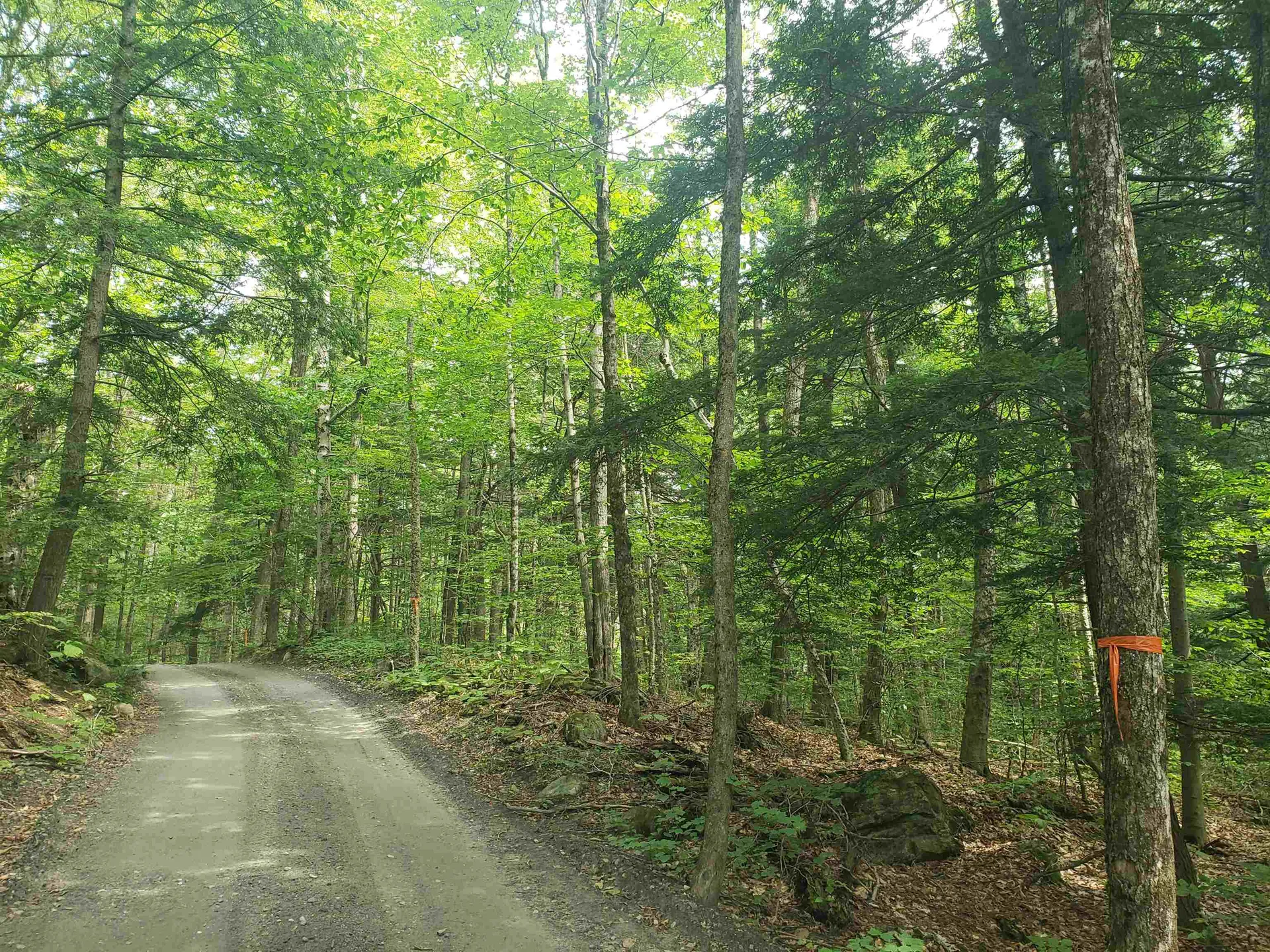 0 Stratton Hill Road Marlboro VT 05344