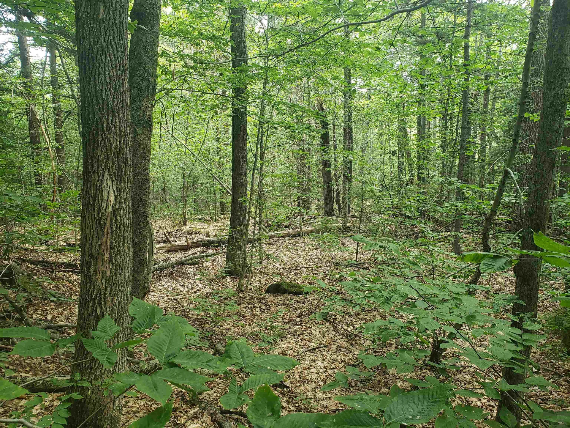 0 Stratton Hill Road Marlboro VT 05344