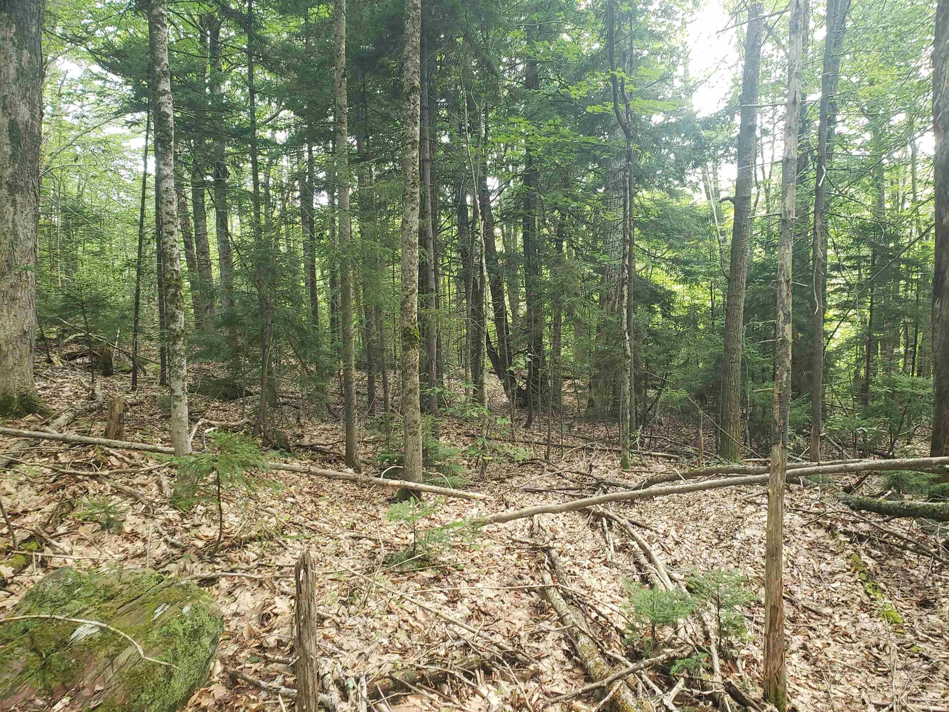 0 Stratton Hill Road Marlboro VT 05344