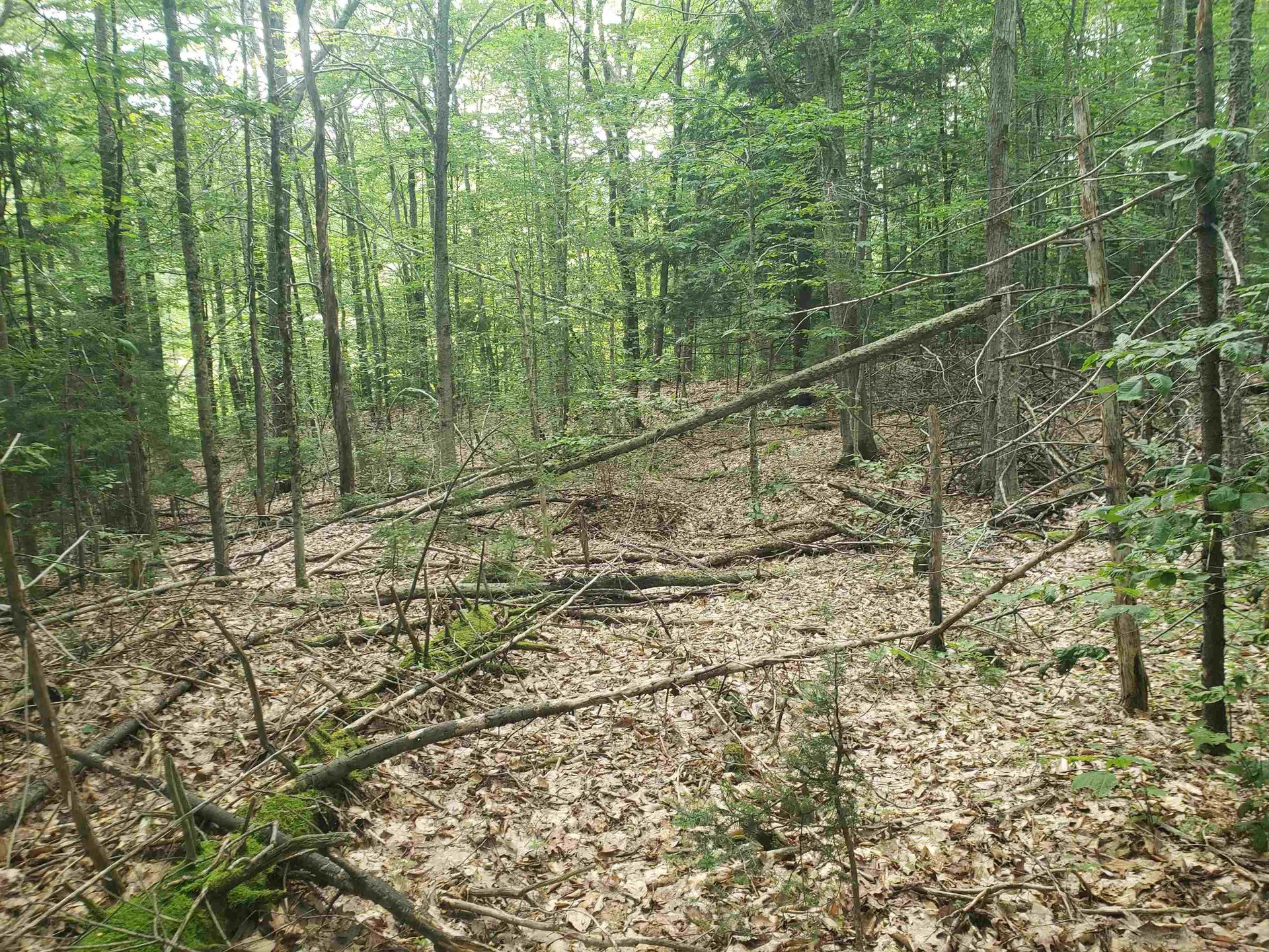 0 Stratton Hill Road Marlboro VT 05344