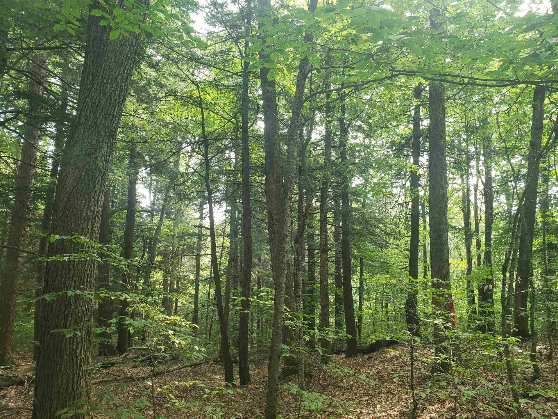 0 Stratton Hill Road Marlboro VT 05344