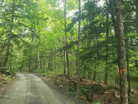 0 Stratton Hill Road Marlboro VT 05344