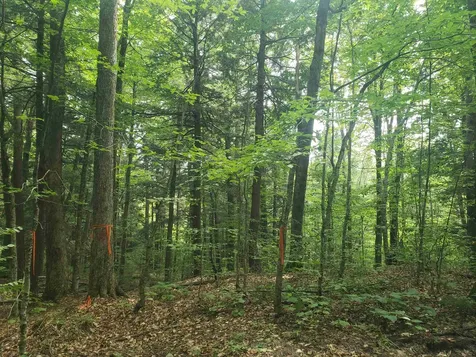 0 Stratton Hill Road Marlboro VT 05344