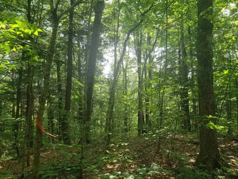 0 Stratton Hill Road Marlboro VT 05344