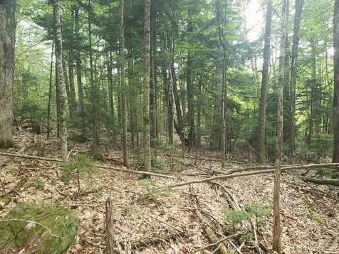 0 Stratton Hill Road Marlboro VT 05344