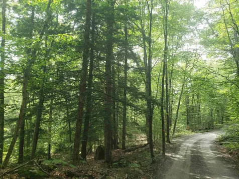 0 Stratton Hill Road Marlboro VT 05344