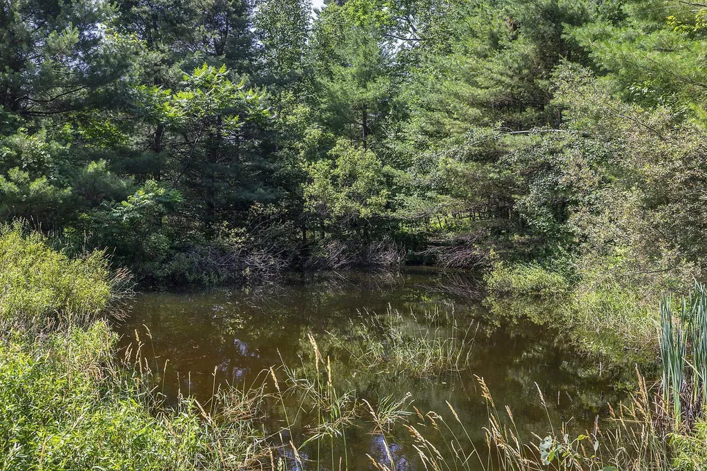 1577 Mount Hunger Road Barnard VT 05031