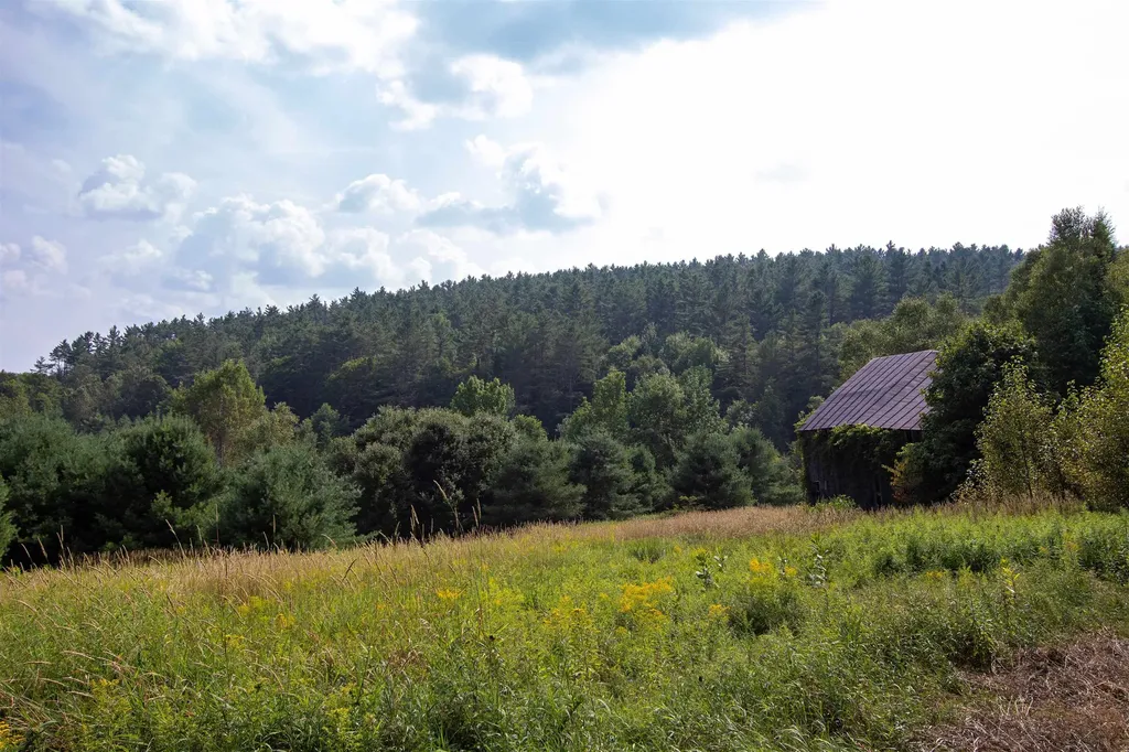 859 Whitehill Road Barnet VT 05821