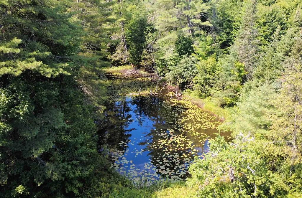 859 Whitehill Road Barnet VT 05821