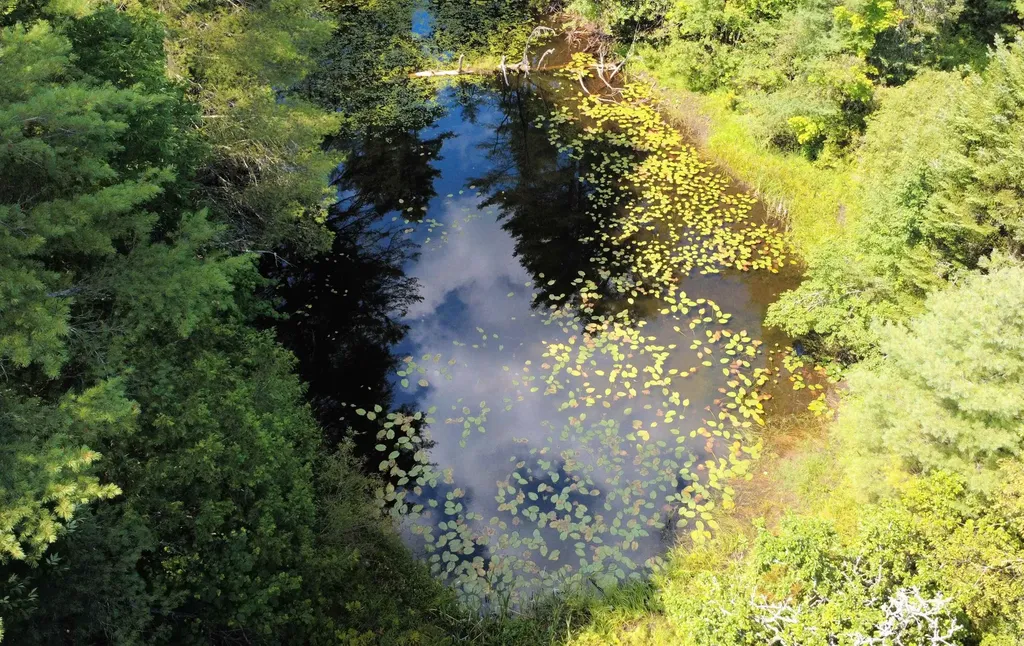 859 Whitehill Road Barnet VT 05821