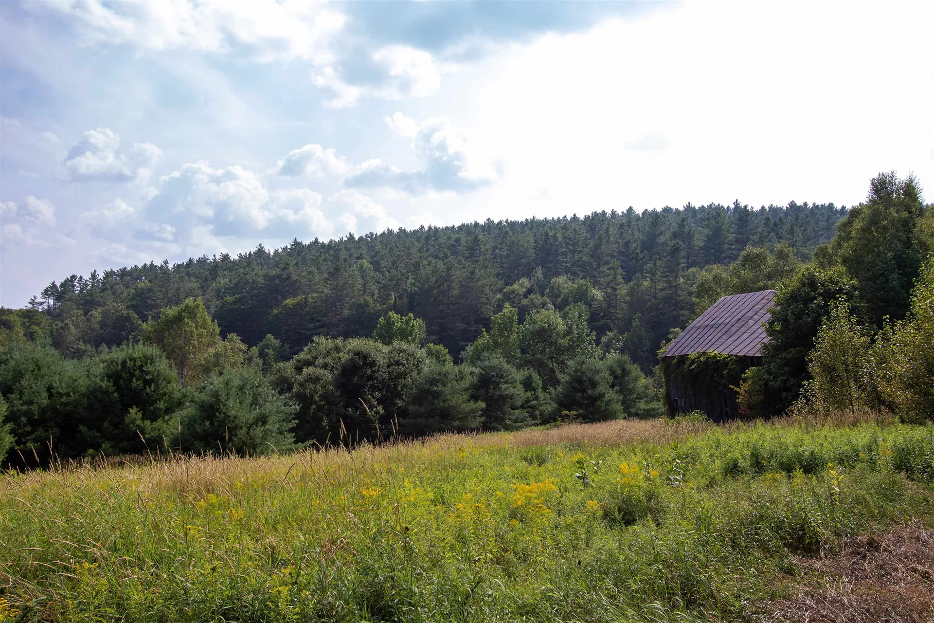 859 Whitehill Road Barnet VT 05821