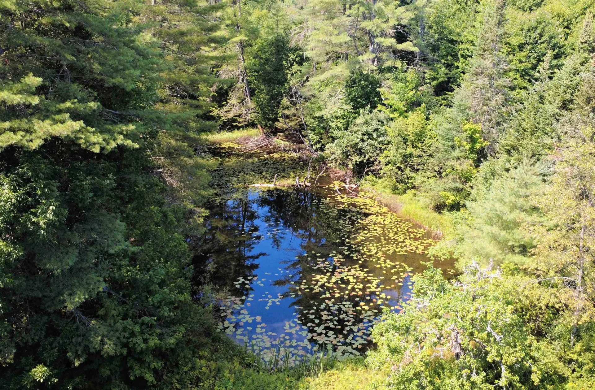 859 Whitehill Road Barnet VT 05821