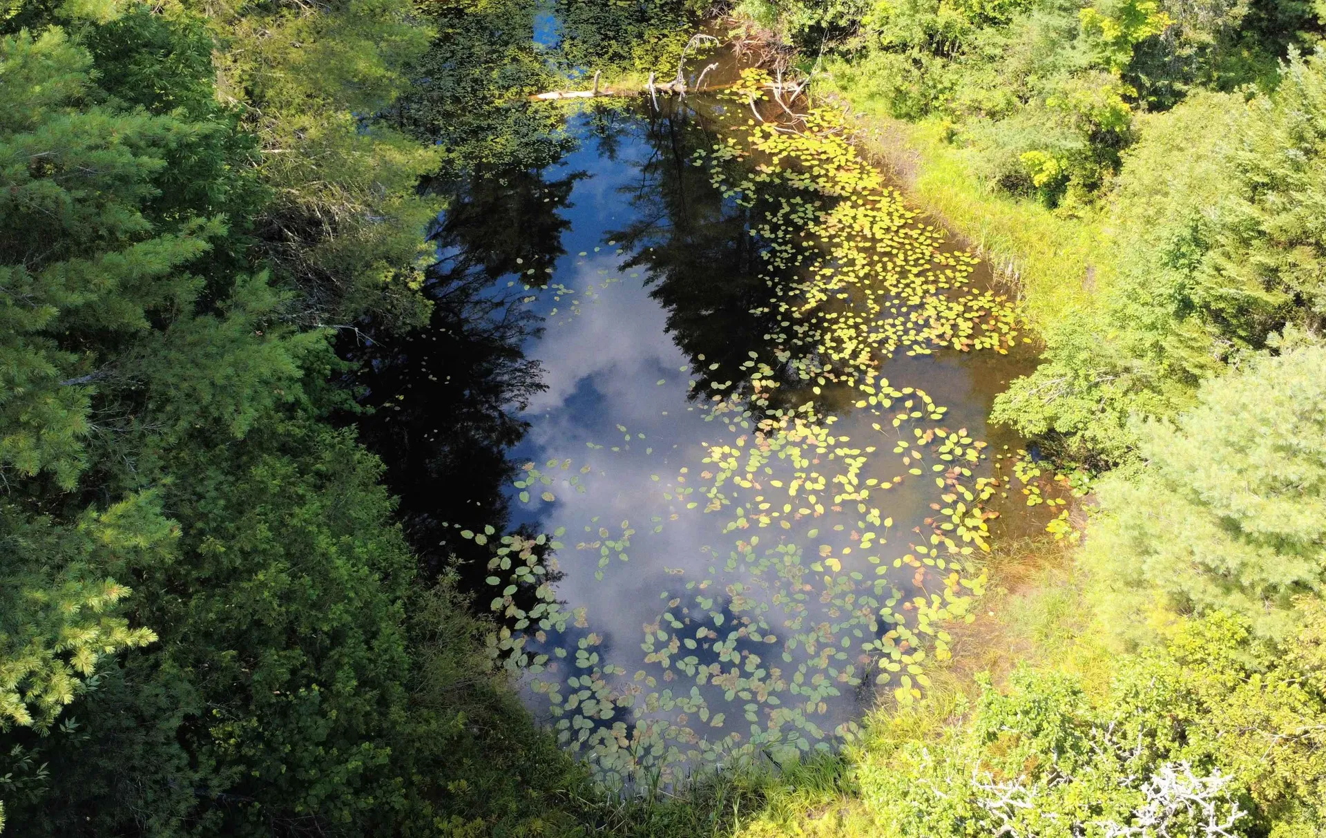 859 Whitehill Road Barnet VT 05821