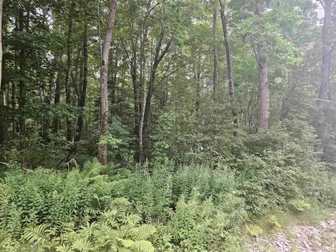 Lot 36 & 37 Agassiz Street Bethlehem NH 03574