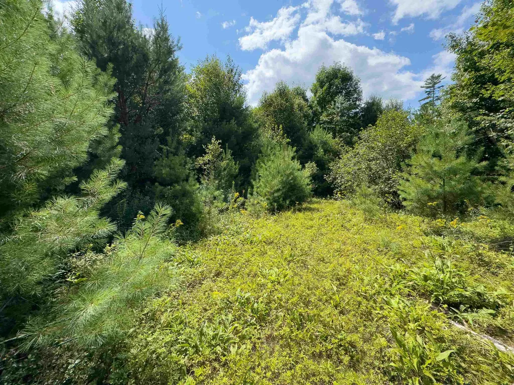 00 Scotch Hollow Road Newbury VT 05051